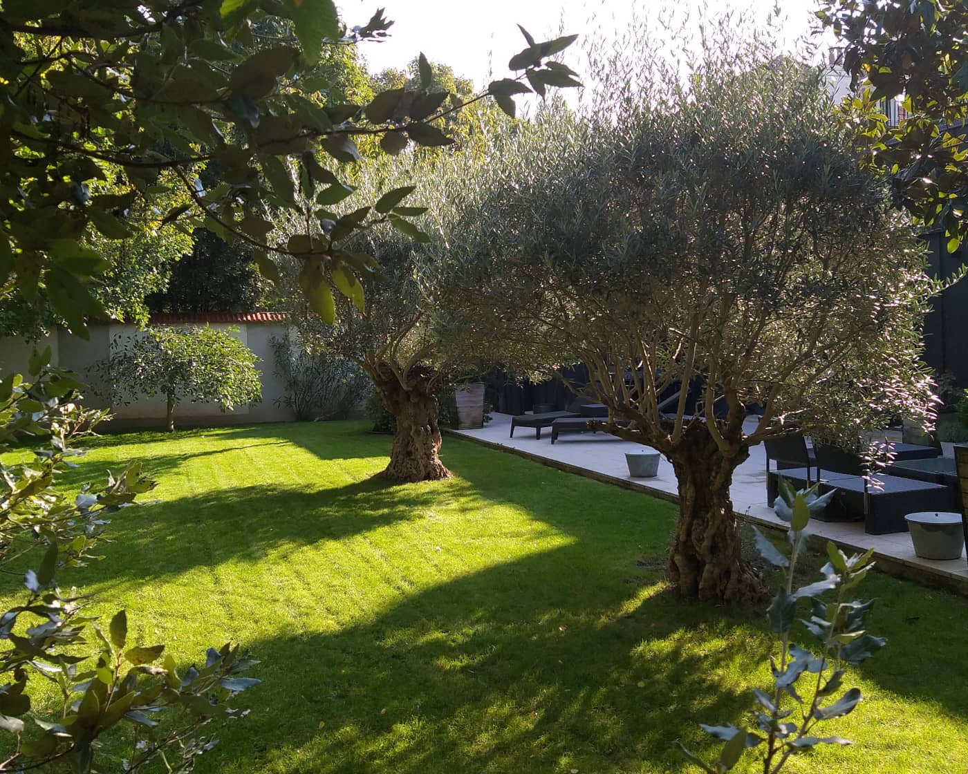 Entretien des parcs et jardins, tonte, taille, élagage